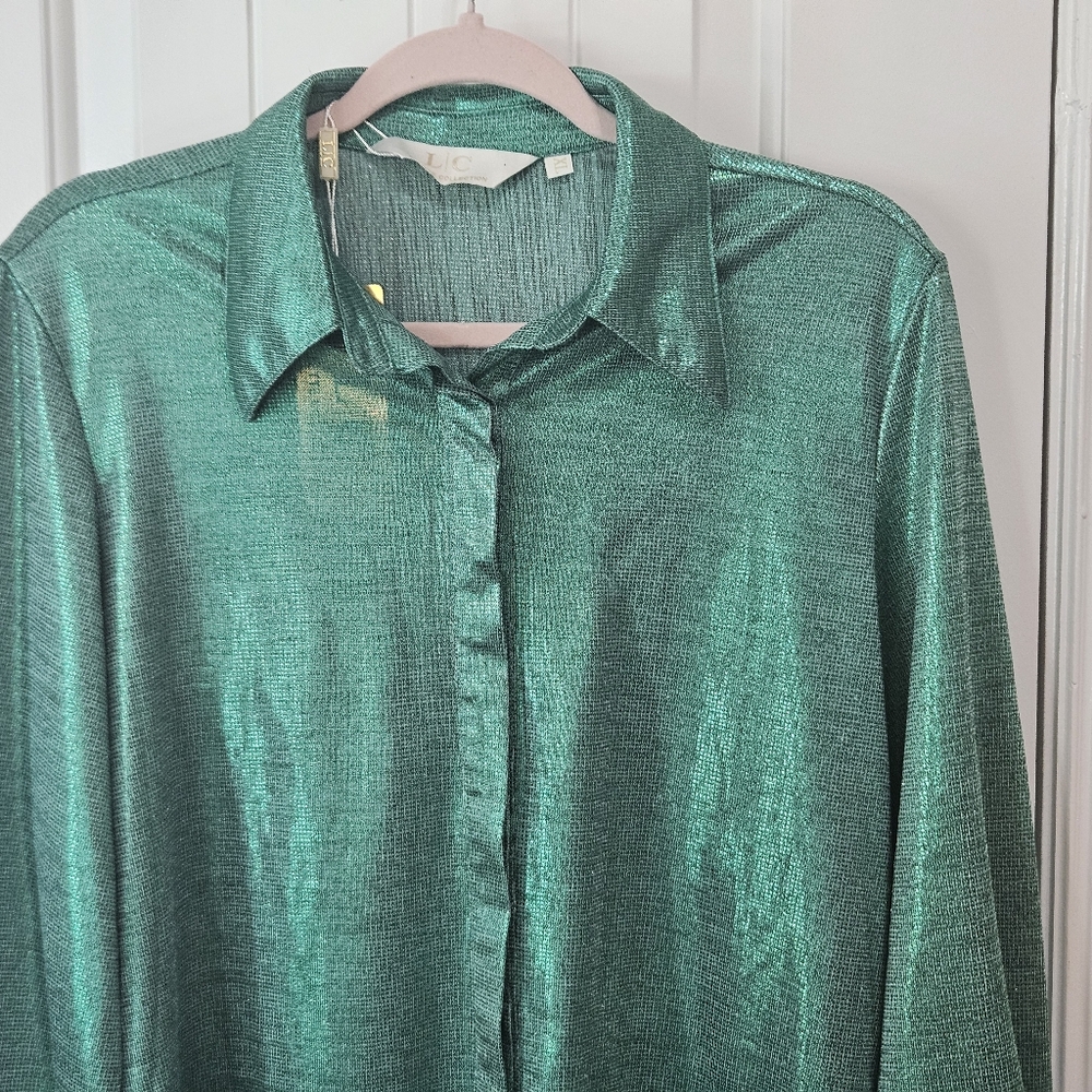 Shimmering Button Up Shirt